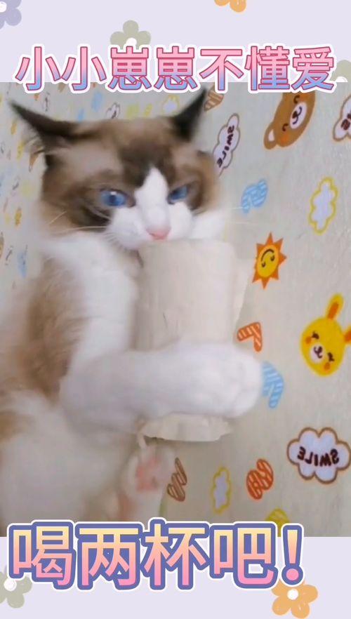 吃瓜娱乐小崽崽小说,小崽崽的娱乐圈奇遇记 第2张 吃瓜娱乐小崽崽小说,小崽崽的娱乐圈奇遇记 第2张