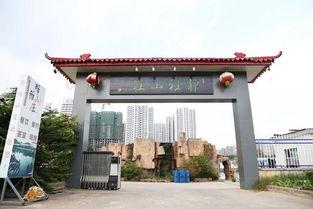 娱乐吃瓜酱临沂大学  第2张