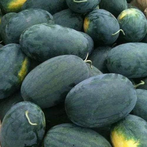 NGA娱乐吃瓜区,揭秘娱乐圈幕后故事,带你领略明星们的真实生活 第1张 NGA娱乐吃瓜区,揭秘娱乐圈幕后故事,带你领略明星们的真实生活 第1张