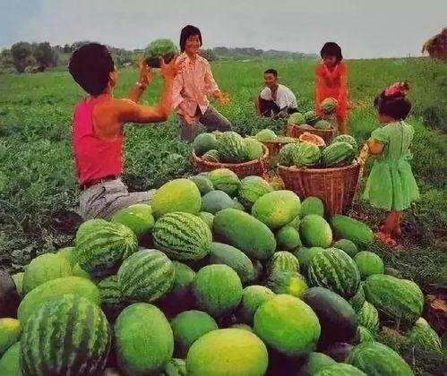 吃瓜在哪里看,各大平台瓜源汇总 第2张 吃瓜在哪里看,各大平台瓜源汇总 第2张