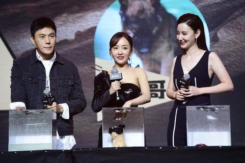 娱乐圈最全吃瓜合集,揭秘最全吃瓜合集背后的精彩故事 第3张 娱乐圈最全吃瓜合集,揭秘最全吃瓜合集背后的精彩故事 第3张