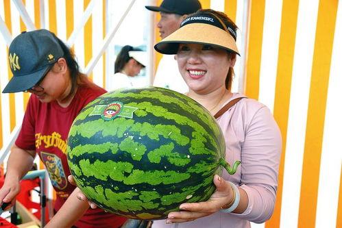 吃瓜娱乐公司,揭秘娱乐圈幕后那些事儿 第2张 吃瓜娱乐公司,揭秘娱乐圈幕后那些事儿 第2张