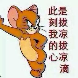 我就是个吃瓜群众图片搞笑,图解网络搞笑瞬间 第3张 我就是个吃瓜群众图片搞笑,图解网络搞笑瞬间 第3张