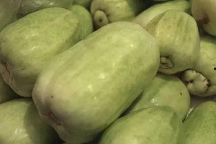 网上说的吃瓜什么意思,吃瓜背后的真相与趣味 第3张 网上说的吃瓜什么意思,吃瓜背后的真相与趣味 第3张