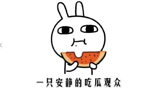 吃瓜娱乐简介句子,吃瓜群众眼中的明星幕后故事 第2张 吃瓜娱乐简介句子,吃瓜群众眼中的明星幕后故事 第2张