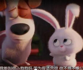 兔兔吃瓜娱乐新浪博客,新浪博客带你领略娱乐新风尚 第2张 兔兔吃瓜娱乐新浪博客,新浪博客带你领略娱乐新风尚 第2张