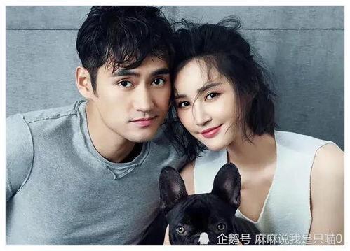 娱乐圈圈吃瓜爆料视频,吃瓜视频背后的惊人真相 第3张 娱乐圈圈吃瓜爆料视频,吃瓜视频背后的惊人真相 第3张